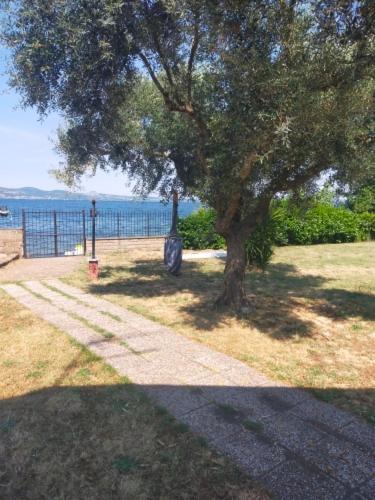 Independent Villa With Private Beach On The Lake Bracciano  Exterior photo