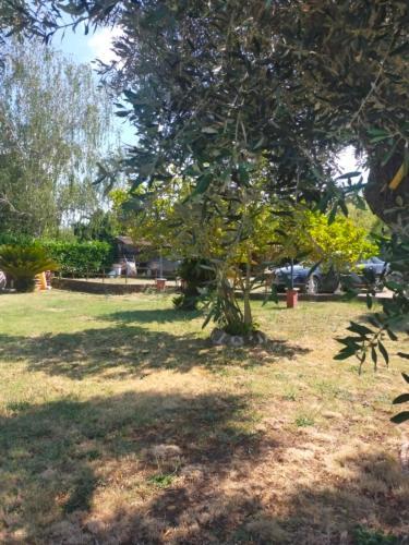 Independent Villa With Private Beach On The Lake Bracciano  Exterior photo